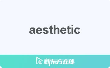 aesthetic意思